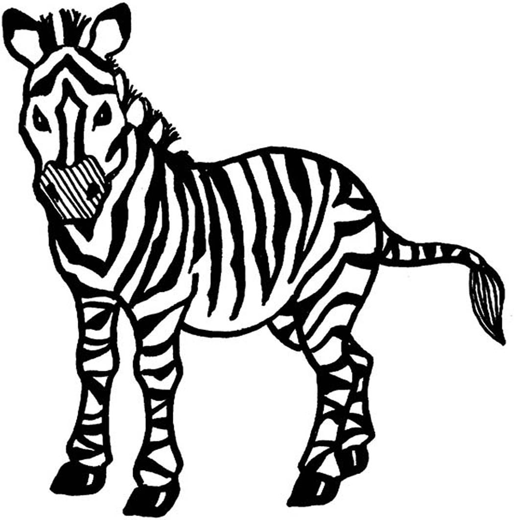 Line Art Zebra : Zebras drawing clipart best