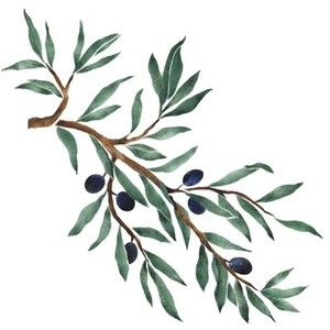 Olive Tree Tattoos | Olive Branch ...