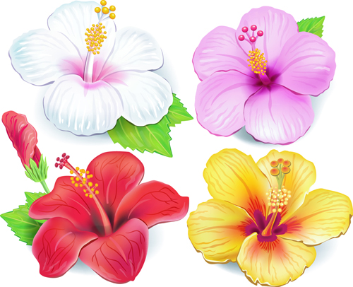 Beautiful flowers vector 04 - Vector Flower free download