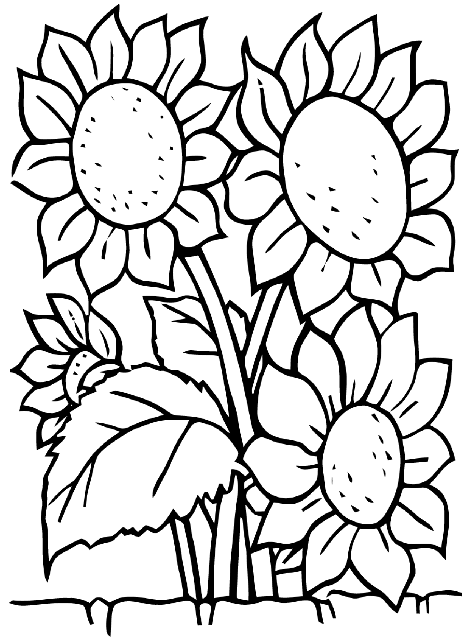 Flower Border Coloring - ClipArt Best