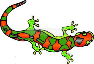 Salamander Clip Art - Free Clipart Images