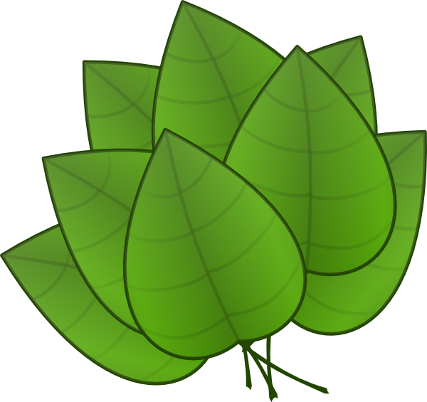 Jungle Leaf Template