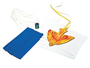 Amazon.com: Roylco Bird Kite Craft Kit, 6 X 7 in, Pack of 32: Toys ...