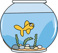 Gold fish bowl clipart