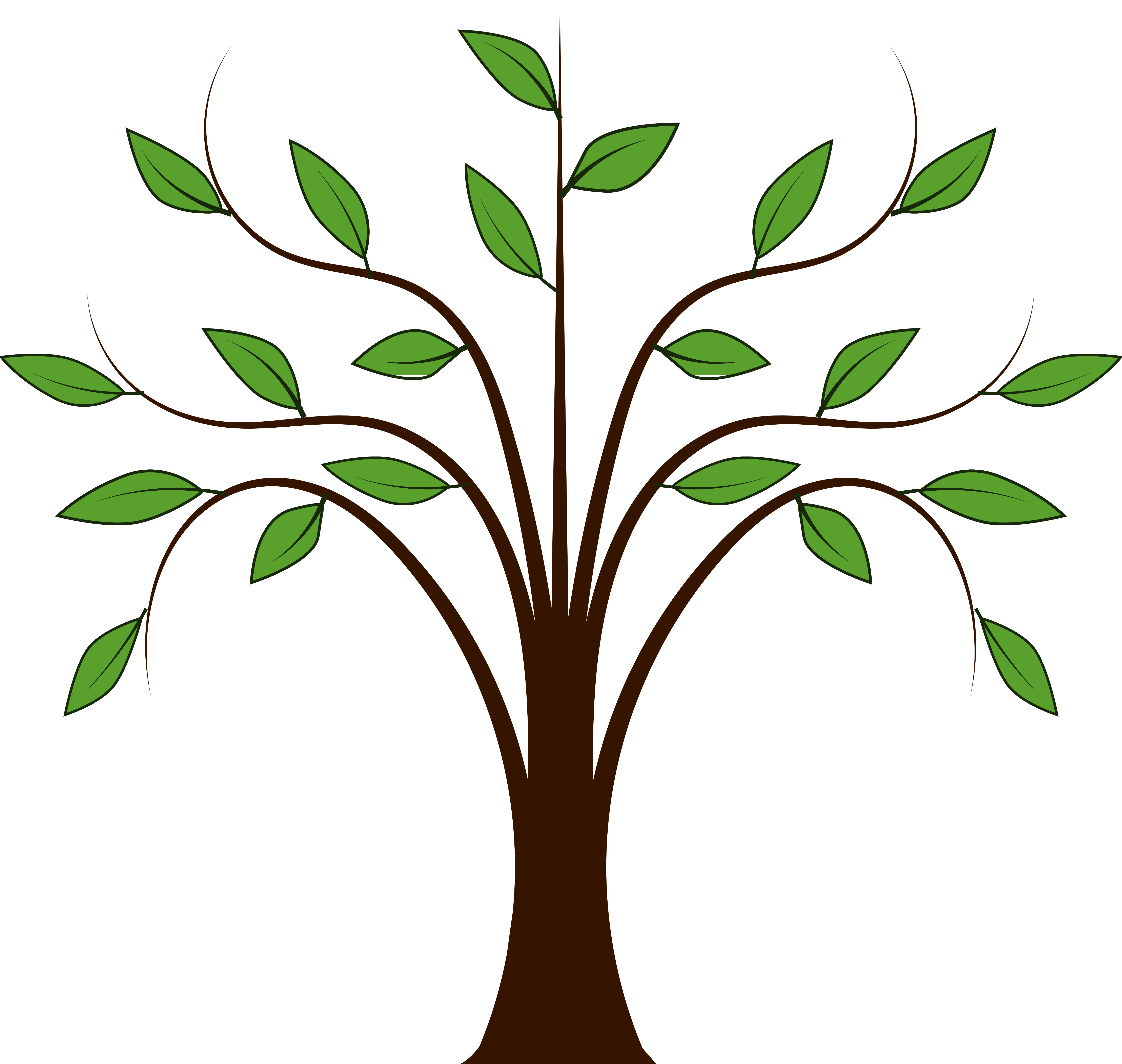 clip art of tree with no leaves - photo #35