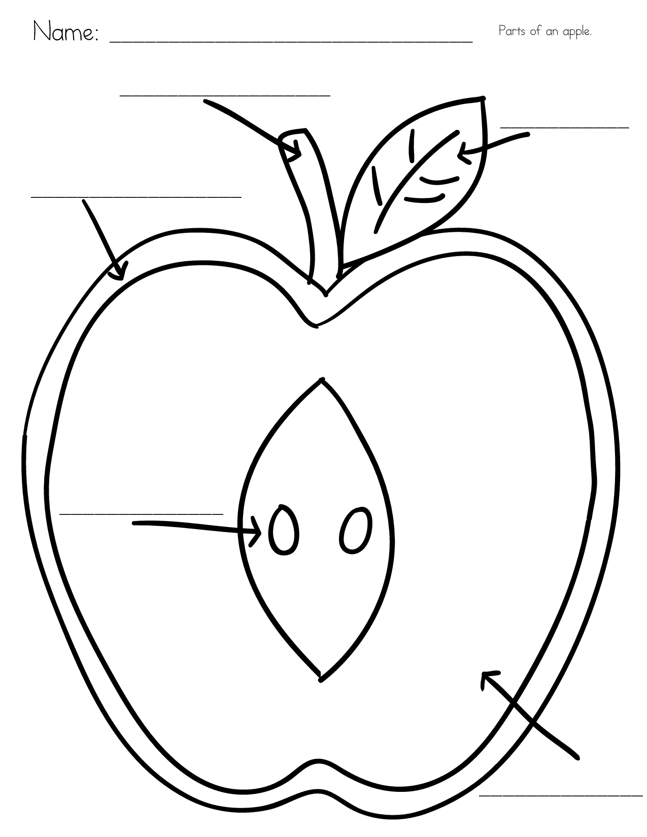 parts of an apple - ClipArt Best - ClipArt Best Within Parts Of An Apple Worksheet