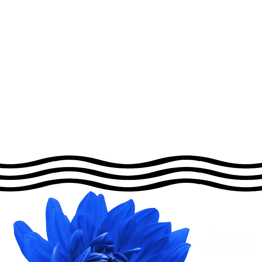 wavy line clip art free - photo #30