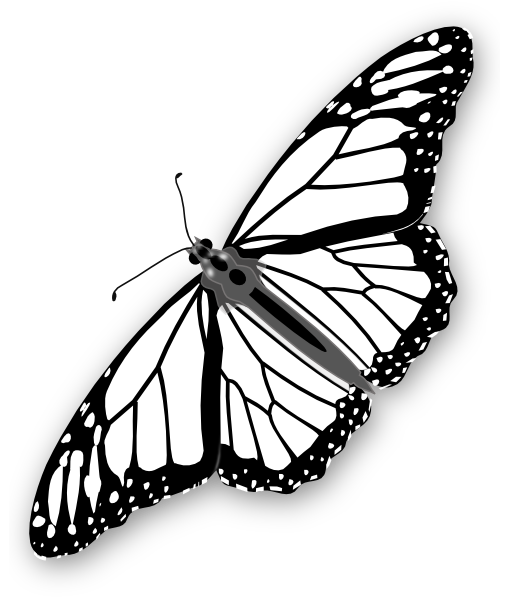 Monarch Butterfly Bw clip art - vector clip art online, royalty ...