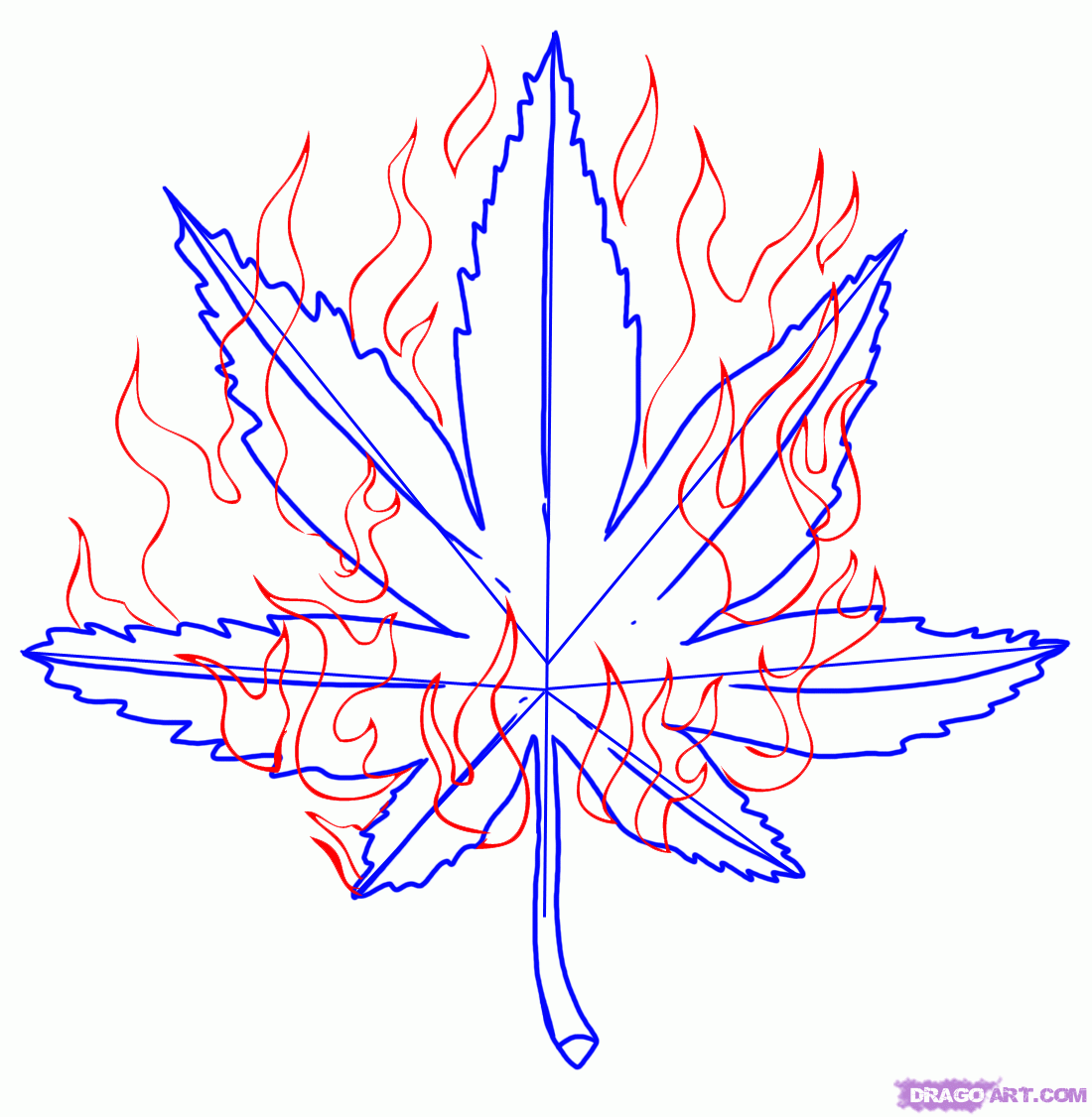 Weed Leaf Drawing Step - InspiriToo.