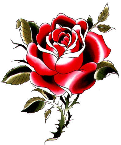 Red Rose Pictures and Wallpapers | 518 Items | Page 4 of 22