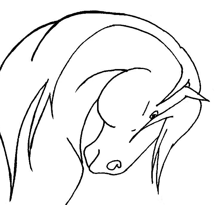 Horse Head Line Drawing