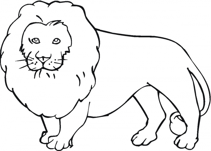 Lions coloring pages | Super Coloring