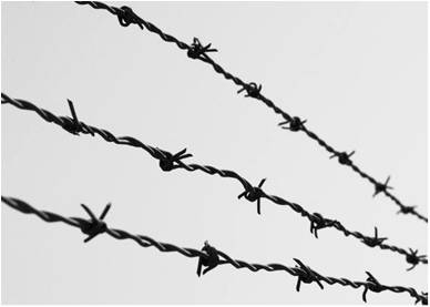 Farming: history of barbed wire