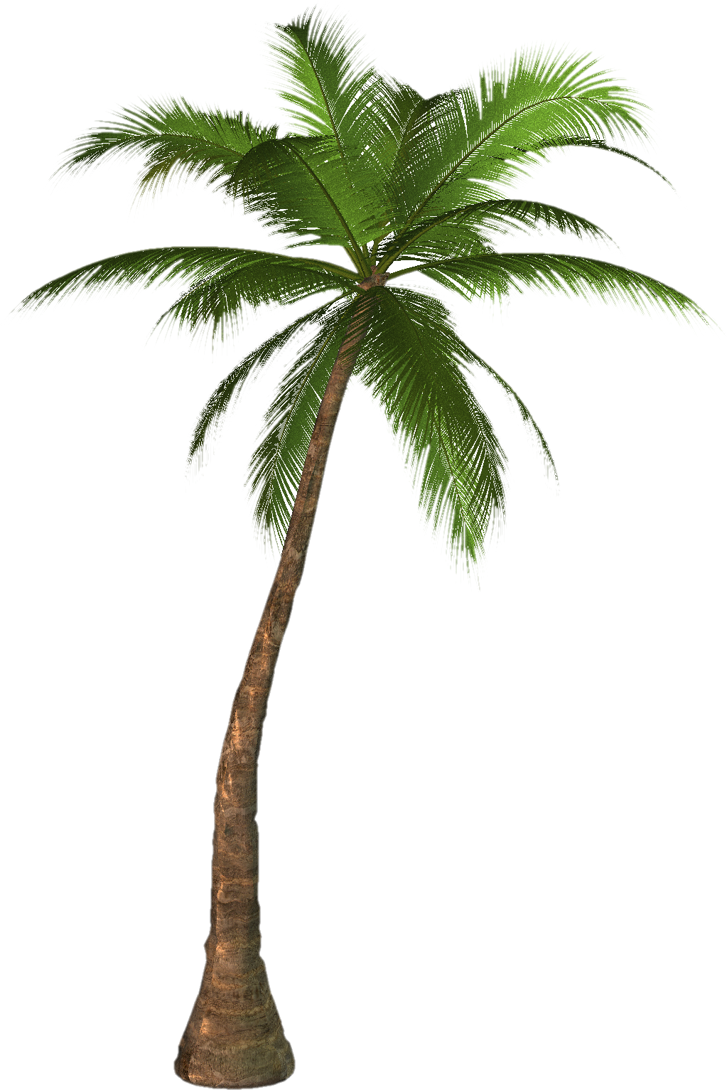 coconut tree clip art - photo #28