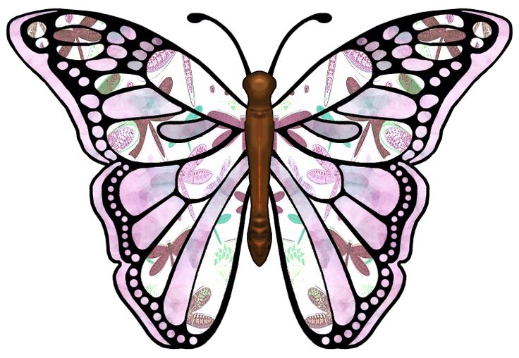 Pink and black butterfly clipart