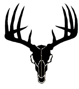 Deer Skull Decal Drop Tine - Free Clipart Images