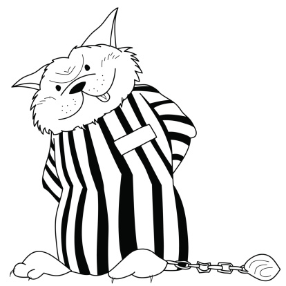 Cartoon Of A Prison Uniform Clip Art, Vector Images ...