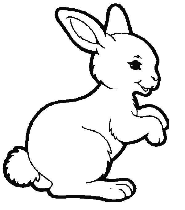 Rabbit Coloring Pages - Animals ColoringPedia
