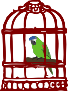 parrot-in-a-bird-cage-md.png