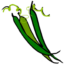 Canned Green Beans Clipart