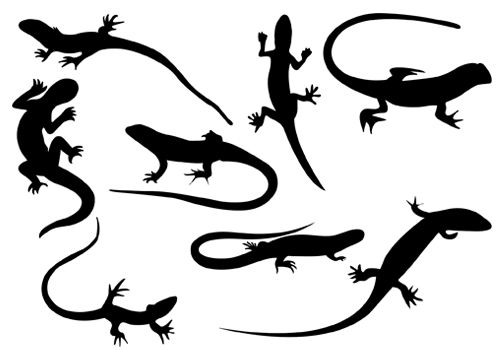 Lizards Silhouette - Silhouette Clip Art | silhouette | Pinterest
