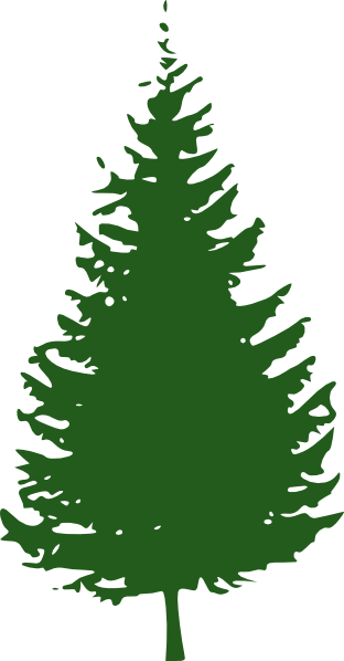Redwood Tree Clipart
