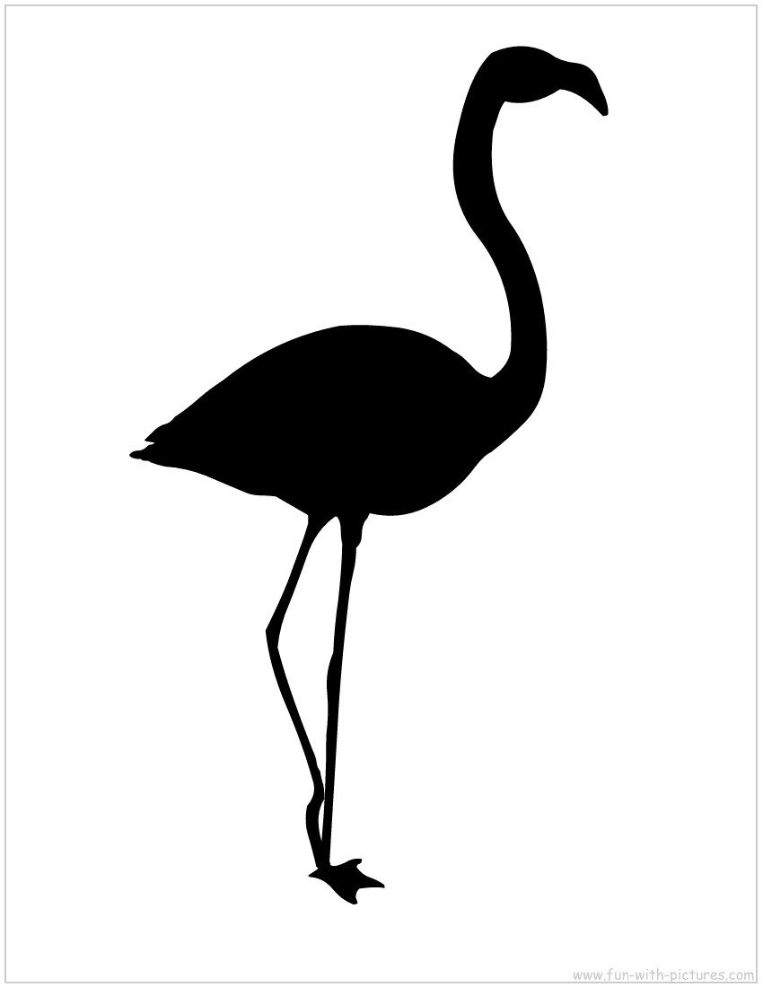Flamingo outline clipart