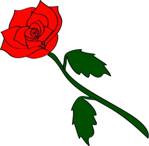 Red rose clipart