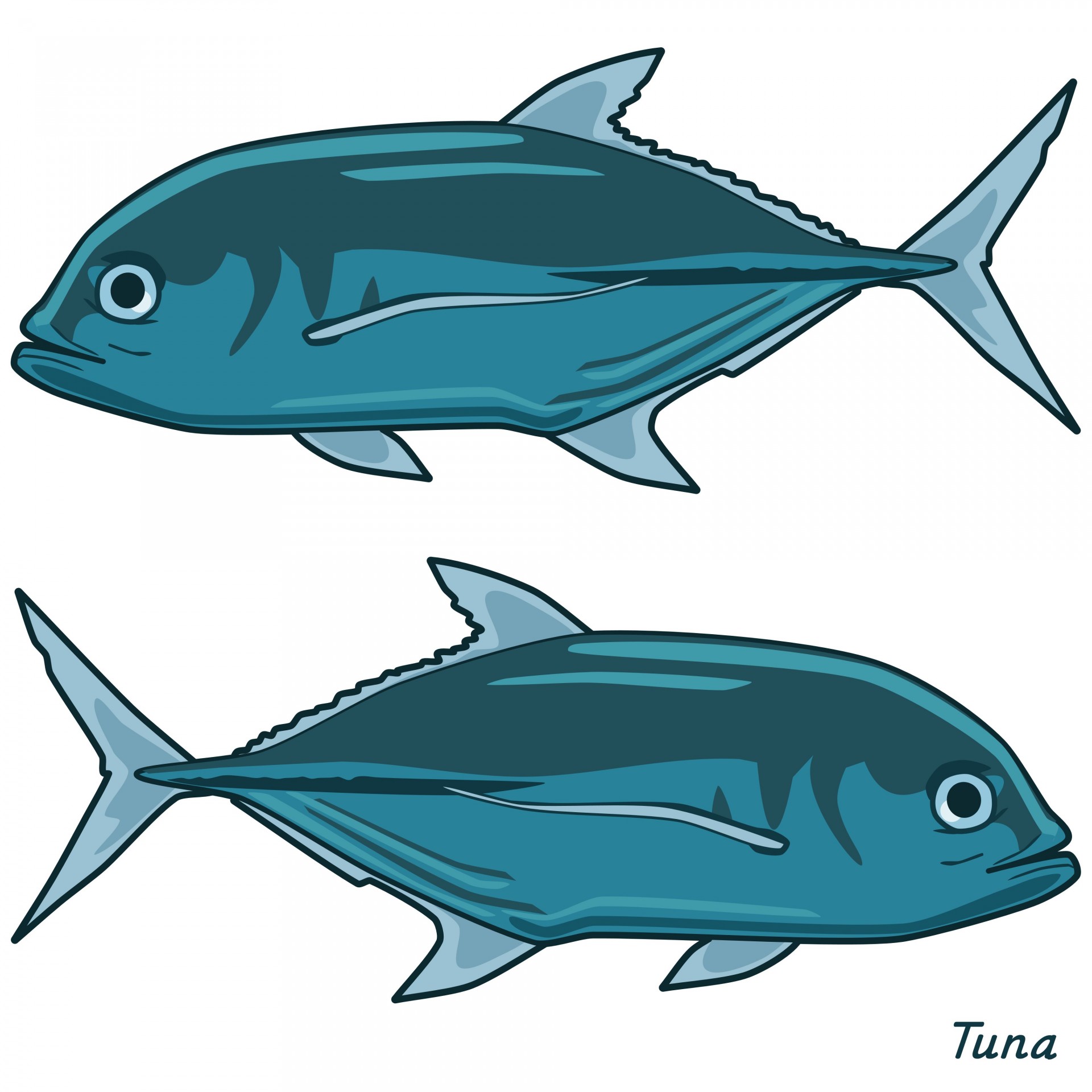 Tuna Clip Art Free Stock Photo Public Domain Pictures ClipArt Best