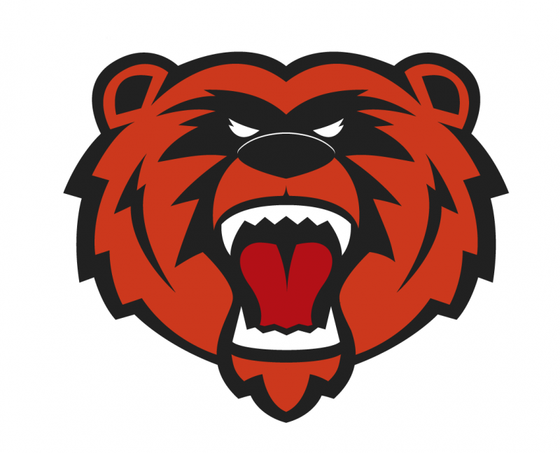 Bear Logo - Concepts - Chris Creamer's Sports Logos Community ...