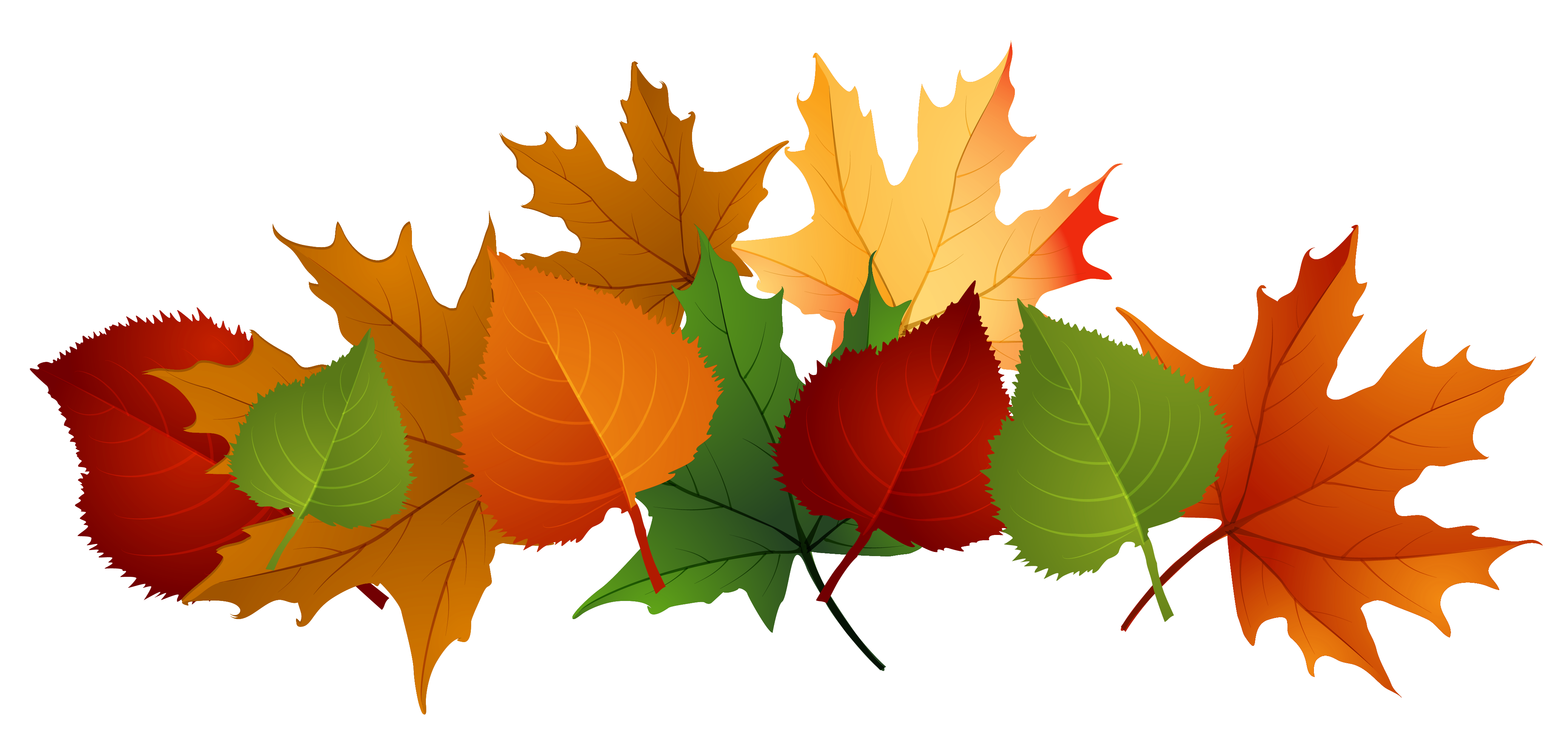 Fall clipart border transparent background