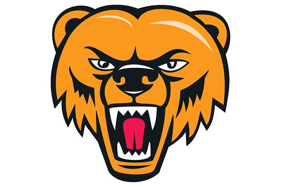 Grizzly Bear Angry Head Cartoon ~ Illustrations on Creative Market