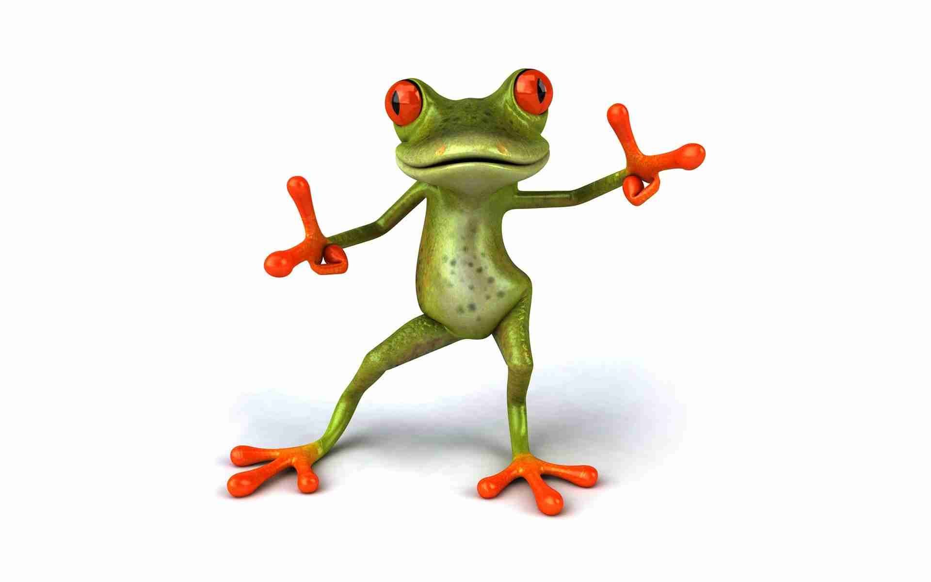 Funny Frogs Wallpapers