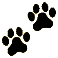 Puppy paw print clipart