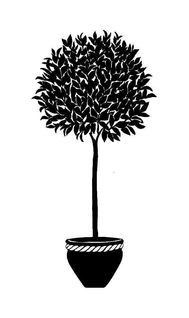 3,193 views Topiary Metal Wall Art Silhouettes | Bay Tree | Spiral Tree ...