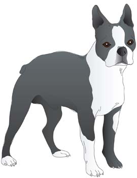 Download Dog Vector 10 Free