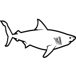 Great White Shark Outline - ClipArt Best