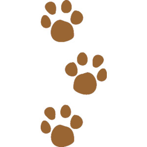 Pet Paw Prints Clip Art, Muddy Animal Tracks Graphic - Polyvore