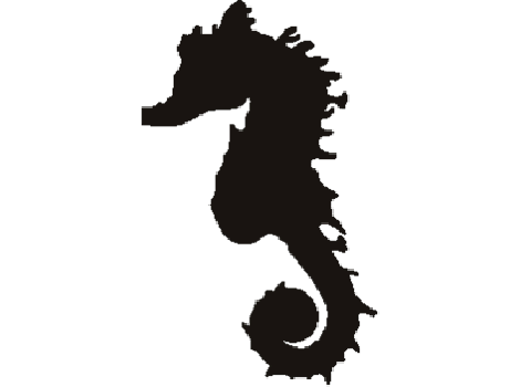 Seahorse Stencil - ClipArt Best
