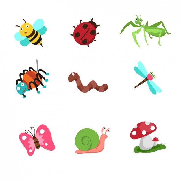 Cute cartoon insects Vector | Free Download
