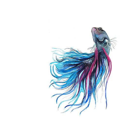 Watercolor Fish Tattoo | Fish ...