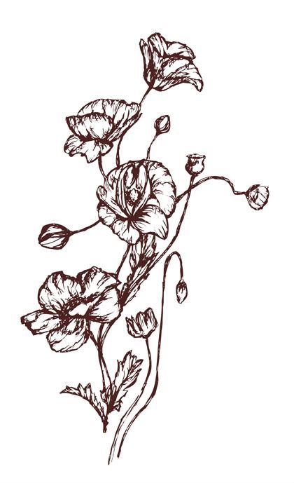 Poppy Flower Tattoos | Poppies ...