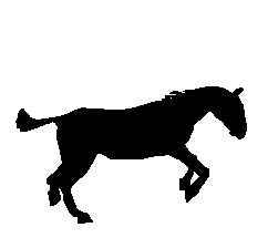 Animated Small Horse Gifs at Best Animations