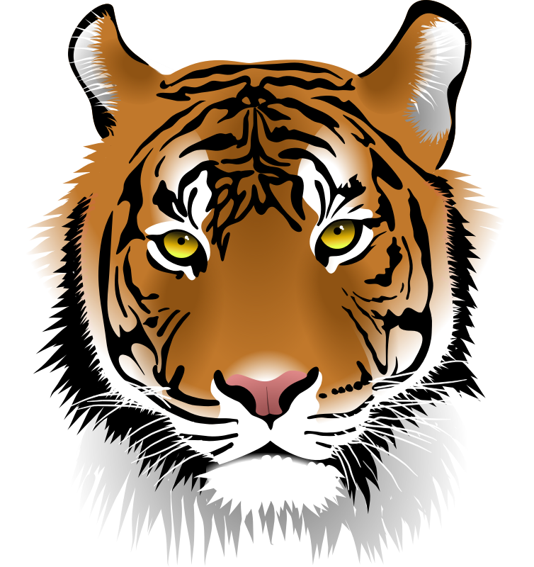 Tiger Transparent Clipart
