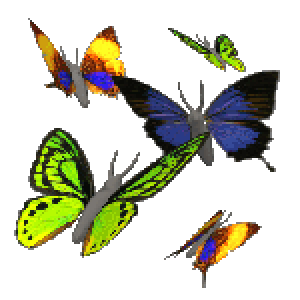 Butterfly gif clipart