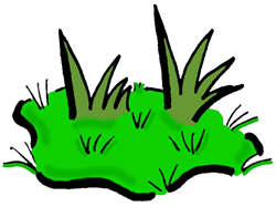 Patch of grass clipart - ClipartFox
