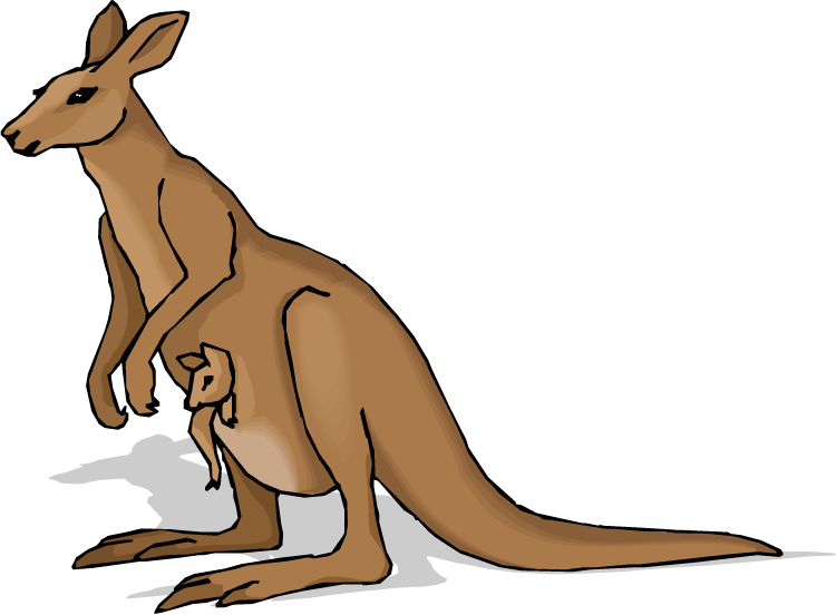 kangaroo clipart australia - photo #15