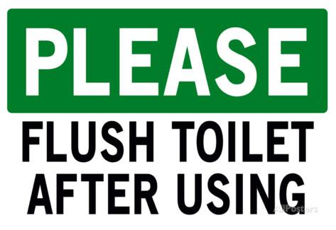 Please Flush Toilet Sign Print Poster Prints at AllPosters.com