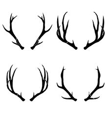 Deer Drawing | Deer Sketch, Deer ...
