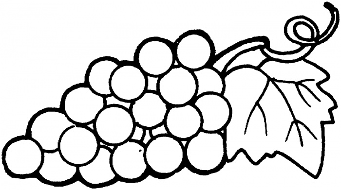 free clipart grapes black and white - photo #43